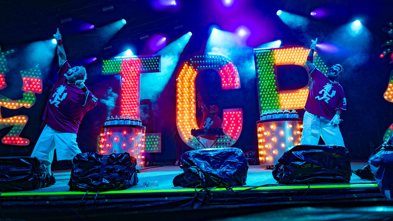 A performance on one of Bonnaroo's stage