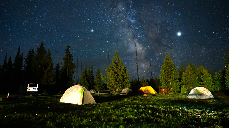 Tents under starry sky