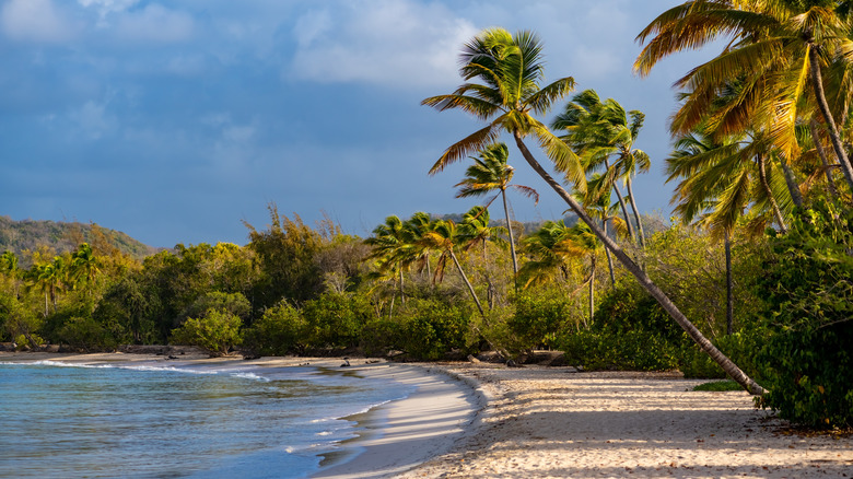 Anse du Gouverneur beach