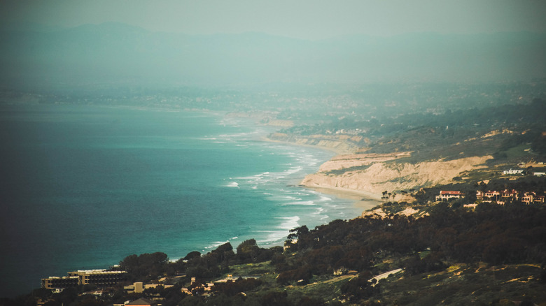 aerial view of Black's Beach
