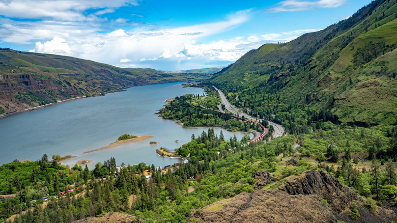Columbia River and trees