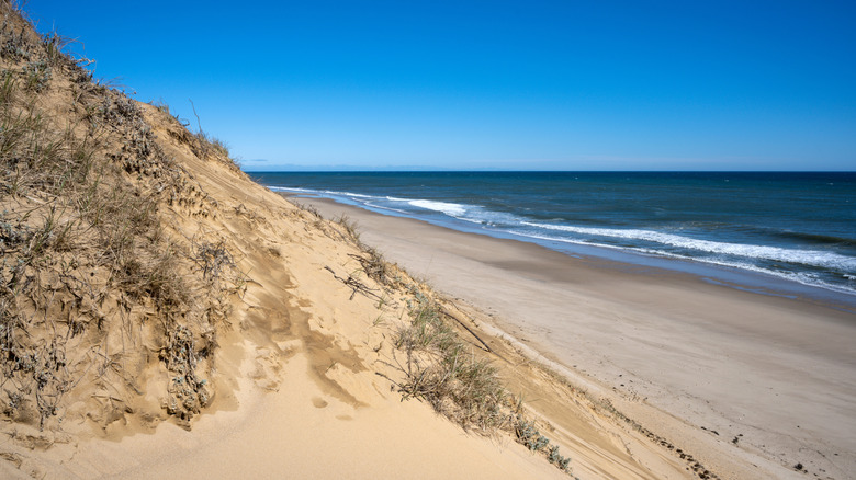 ocean at Longnook Beach