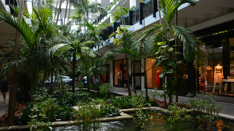 Tropical fauna and koi ponds at Bal Harbour Shops.