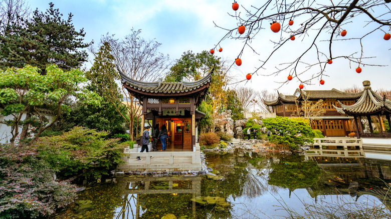 Pond and Chinese architecture in Lan Su Chinese Garden