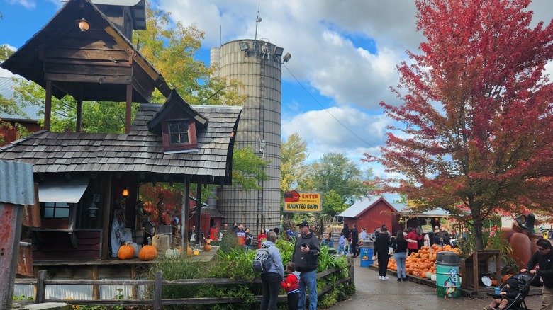 Crowds and fall foliage at Bengtson's Pumpkin Farm in Homer Glen, Illinois