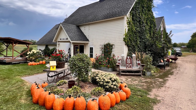 LuceLine Orchard in Watertown, Minnesota, decorated with pumpkins