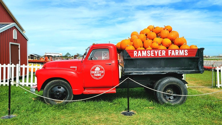 Vintage truck with pumpkins at Ramseyer Farms in Wooster, Ohio