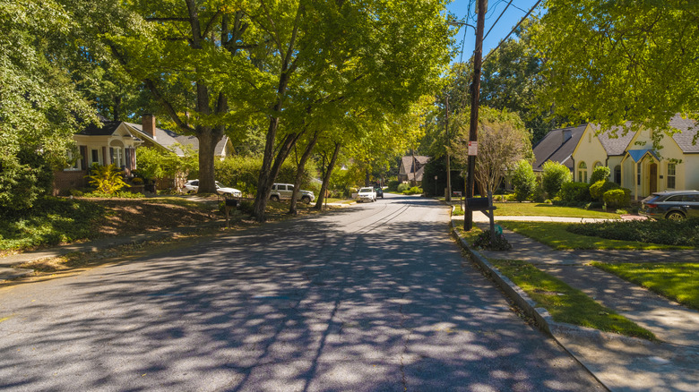 Trees and houses along a quiet street in an Atlanta suburb.