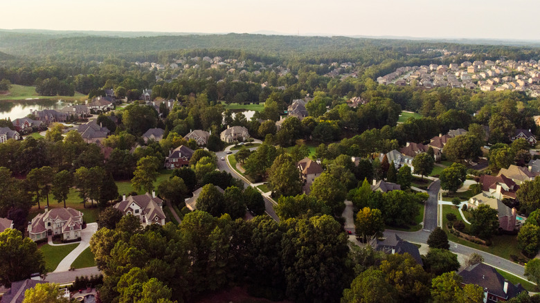 Aerial view of peaceful suburb in Atlanta with trees, large homes and wide streets.