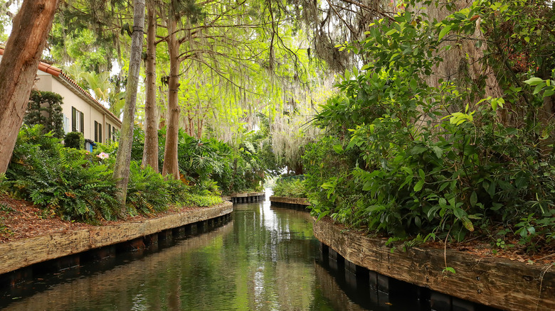 The Chain of Lakes Canal in Winter Park, Florida