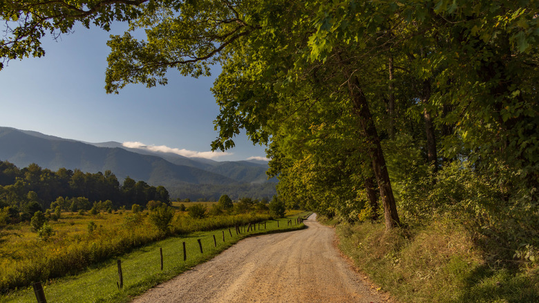 Scenic mountain views along the Cades Cove Loop Road in Great Smoky Mountains National Park