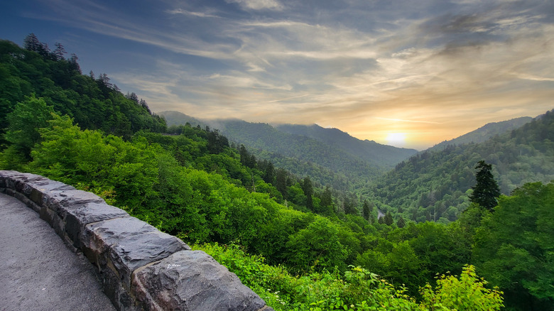 An overlook on Newfound Gap Road with mountain valley scenery in Great Smoky Mountains National Park