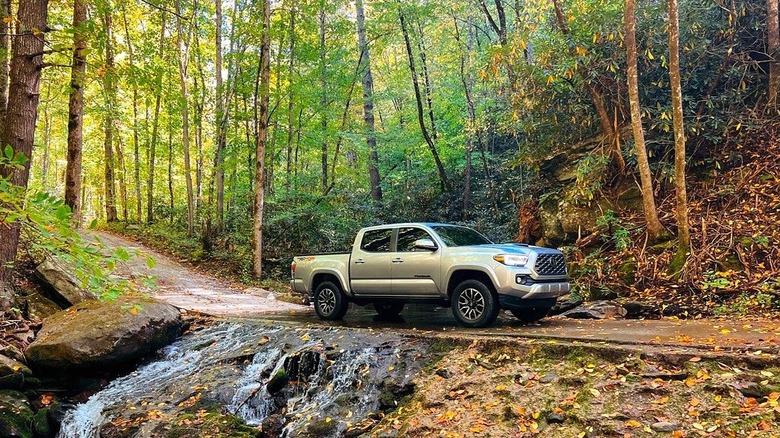 A Toyota Tacoma parked among the trees and river on Parson Branch Road in Great Smoky Mountains National Park