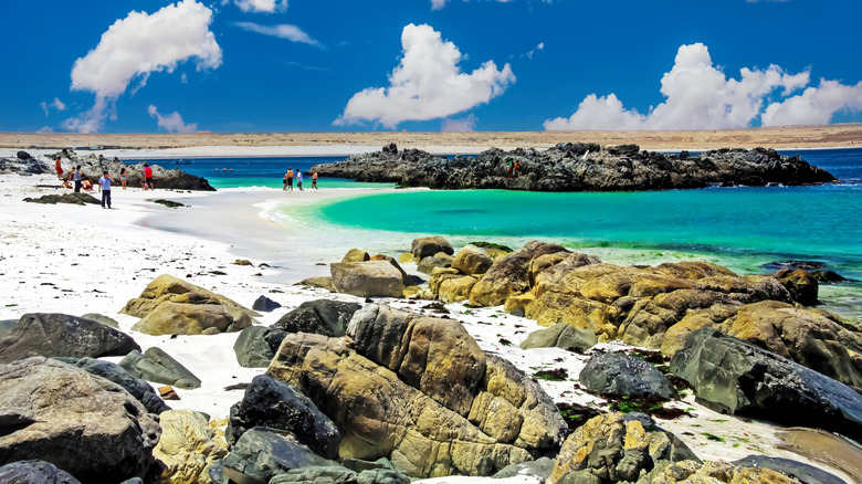 rocky turquoise beach in desert