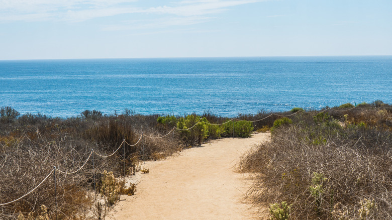 A trail overlooking the sea at Crystal Cove State Park