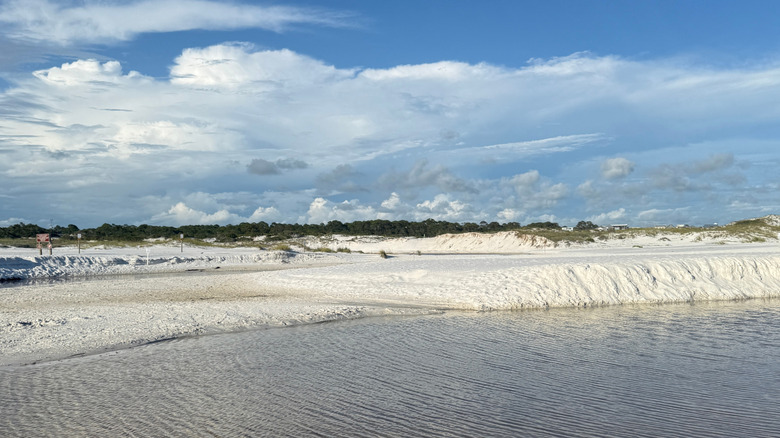 A coastal dune lake at Grayton Beach State Park in Santa Rosa Beach, Florida