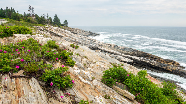 Coastal view at Reid State Park, Maine