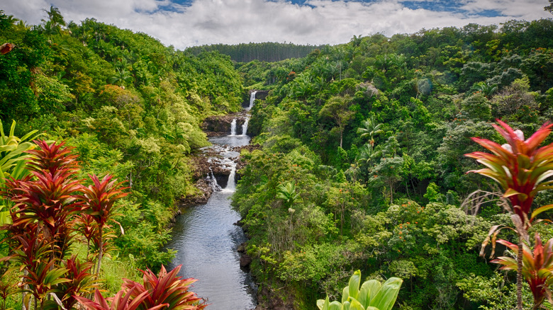 Swimming hole at Umauma Falls