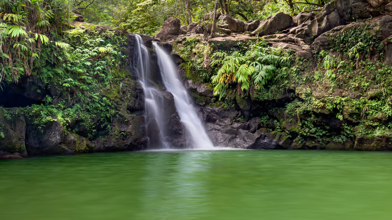 Swimming hole at Waikamoi Falls