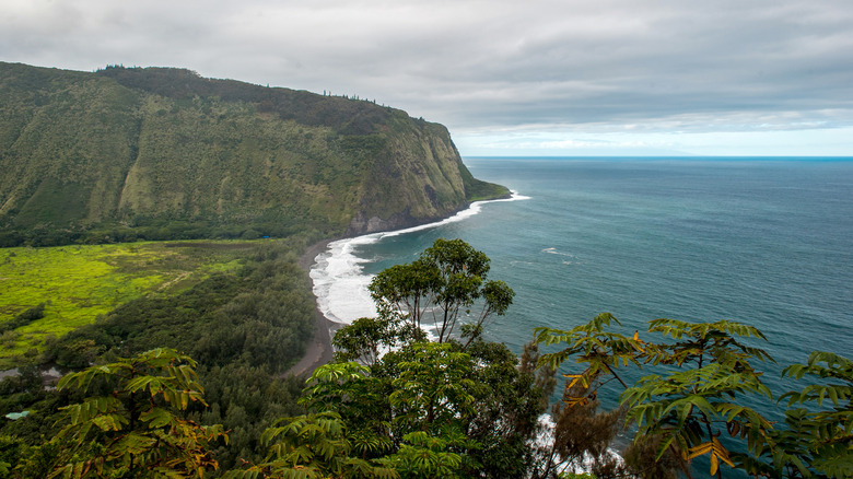 ocean view at Waipio Valley