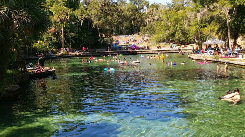 People swimming in a spring at Wekiwa Springs State Park in Apopka, Florida