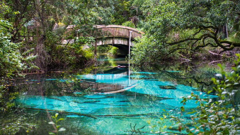 Juniper springs in Ocala National Forest, Florida