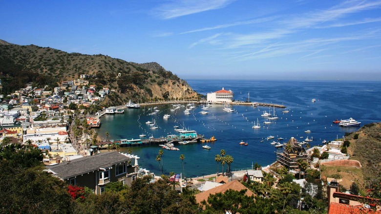 Catalina Island | California Destination Wedding