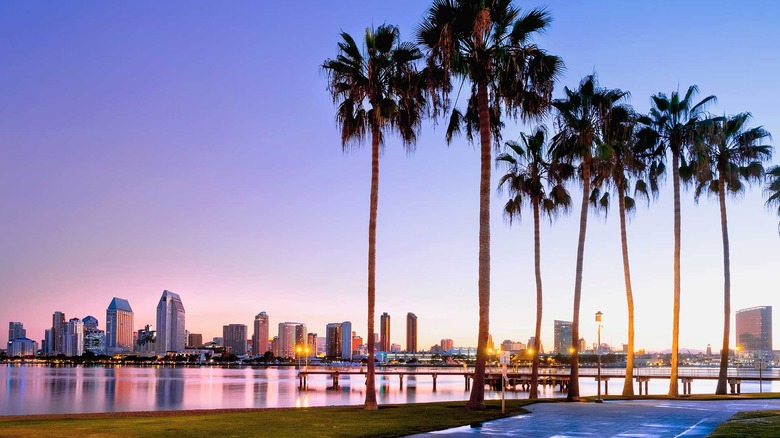 Coronado Island | California Destination Wedding