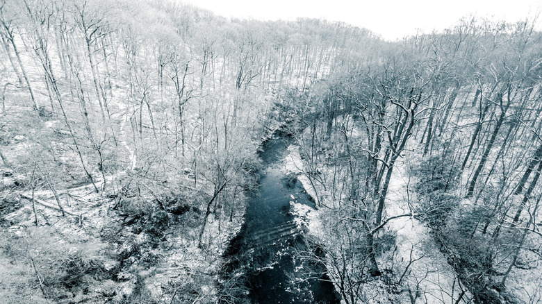 An aerial view of Wissahickon Valley Park