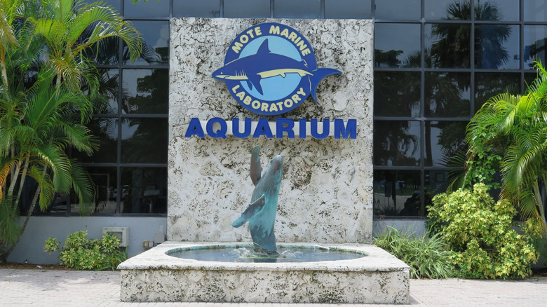 The Mote Marine Laboratory & Aquarium sign in Sarasota
