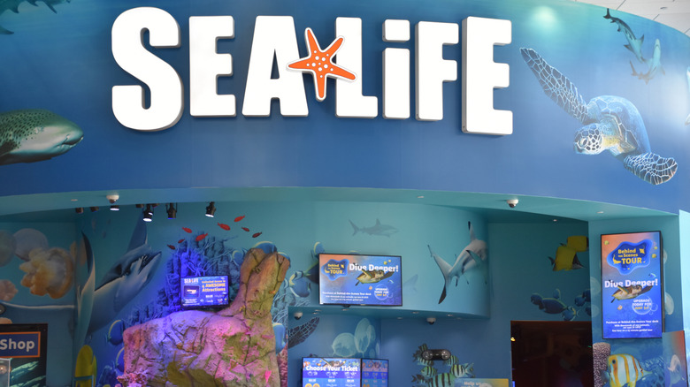 The SEA LIFE sign at the Orlando aquarium