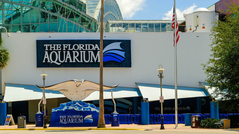 Outside the Florida Aquarium in Tampa.