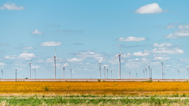 Wind turbine farm generator near Sweetwater Texas