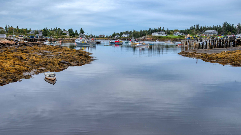 Waterfront homes and fishing boats in Machiasport along the Bold Coast of Maine