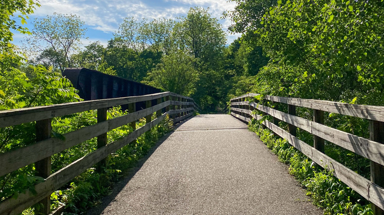bridge on a hiking trail