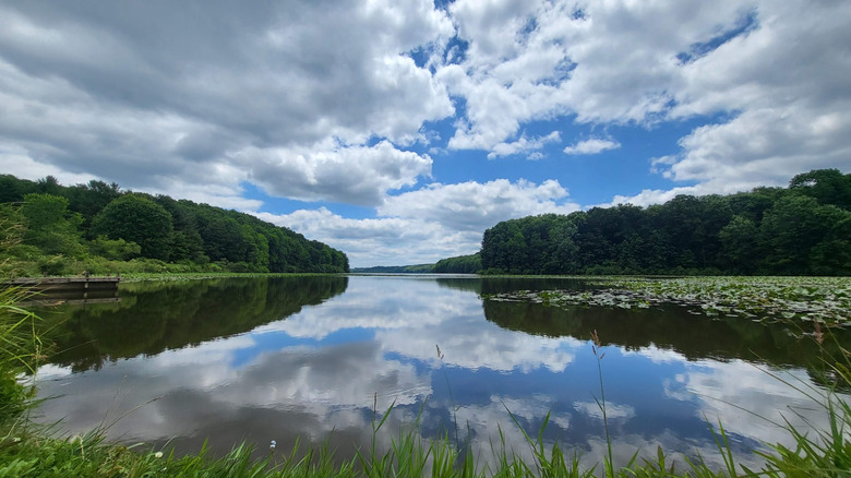 Lake surrounded by green trees under a cloudy blue sky