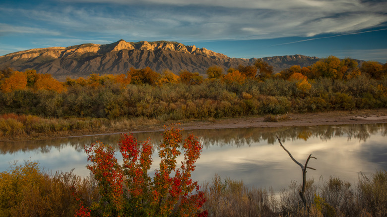 The Rio Grande flows past mountains in Sandoval County, New Mexico