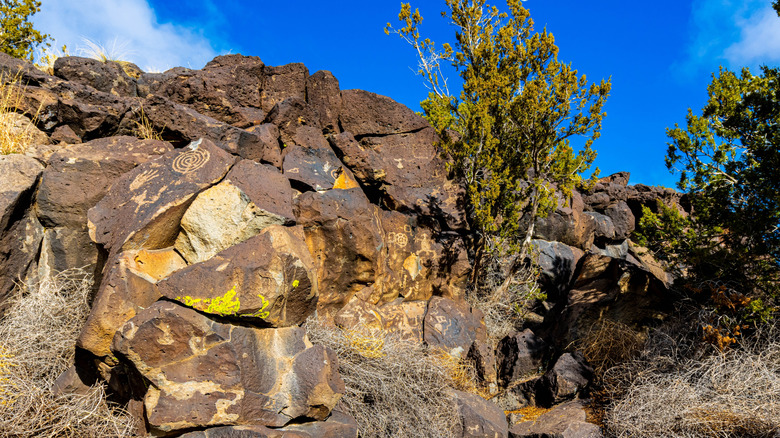 Ancient petroglyph art at the La Cieneguilla Petroglyph Site in New Mexico