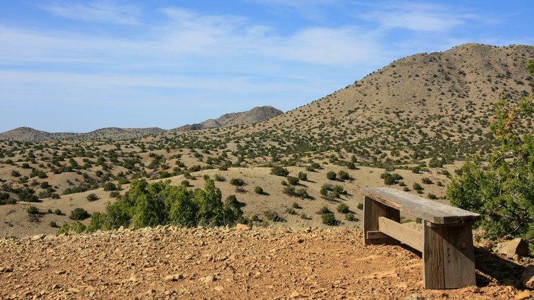A wooden bench on a summit in Cerrillos Hills State Park