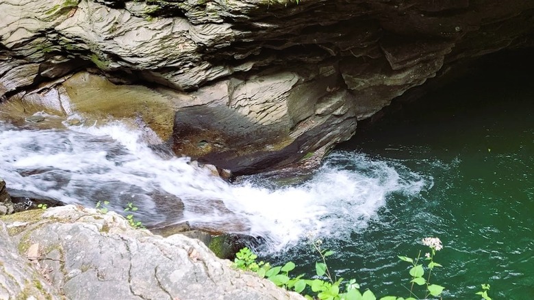 Views of a gushing waterfall surrounded by bedrock inside McIntyre Wild Area in Pennsylvania.