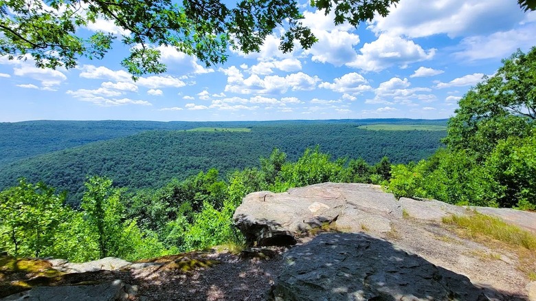 Views from a rock overhang inside the McIntyre Wild Area in Pennsylvania, featuring a dense forest with rolling hills.