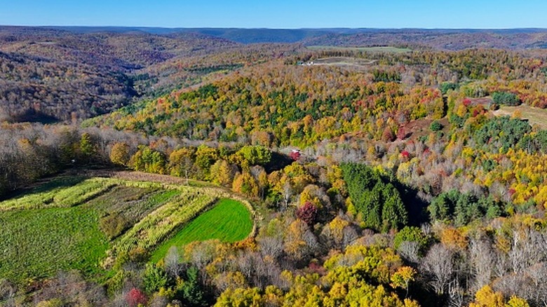 Drone photo for Susquehannock State Forest