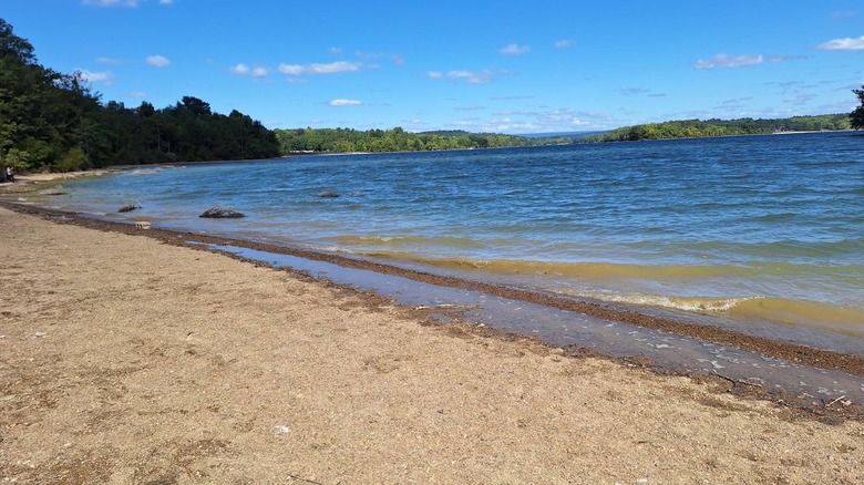 Sandy shore at Blue Marsh Lake