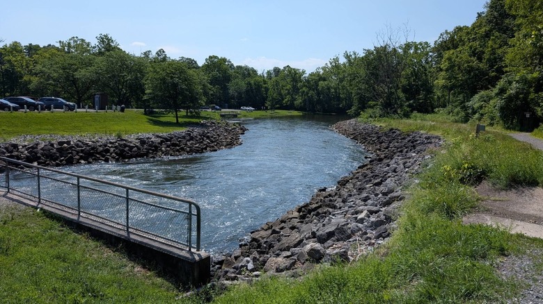 Blue Marsh Lake Recreation Area