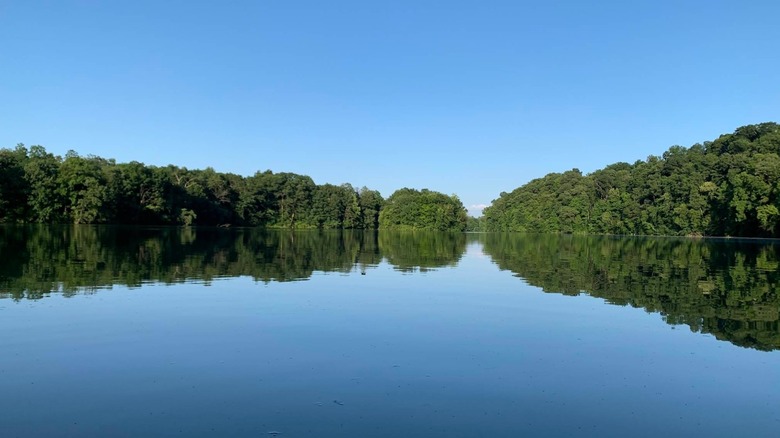 Overview of Blue Marsh Lake.