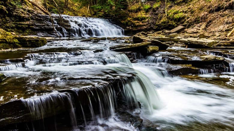 Waterfall in Salt Springs State Park in Montrose, Pennsylvania