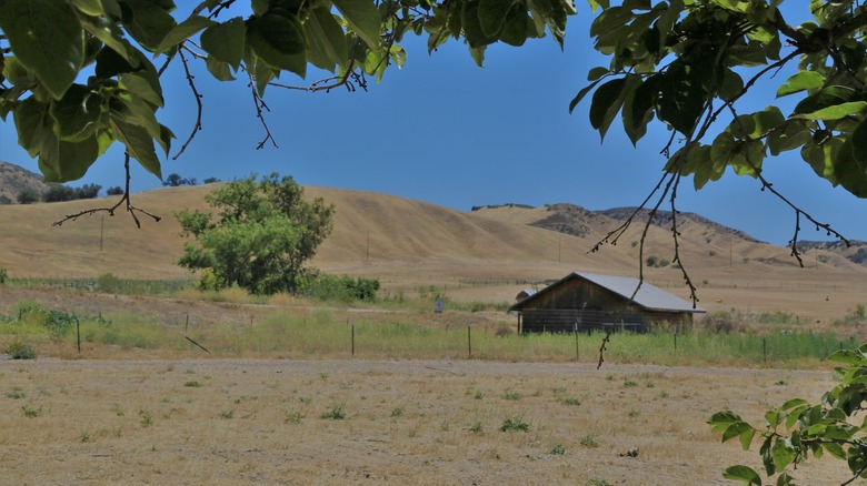 123 Farm in Southern California