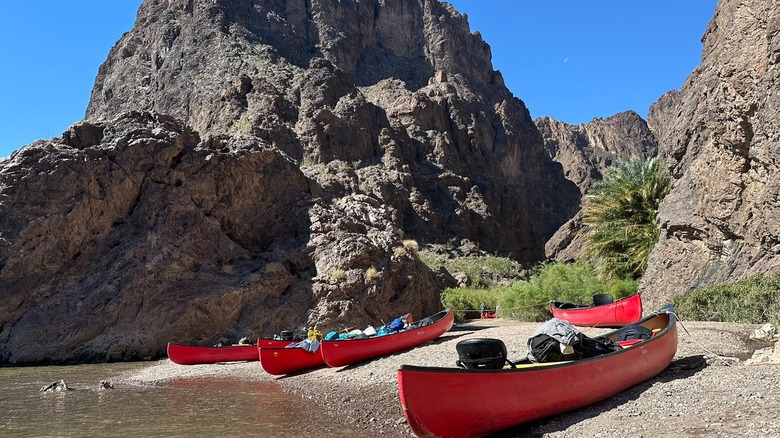 red canoes on the beach at Boy Scout Canyon on the Black Canyon Water Trail, with palm trees