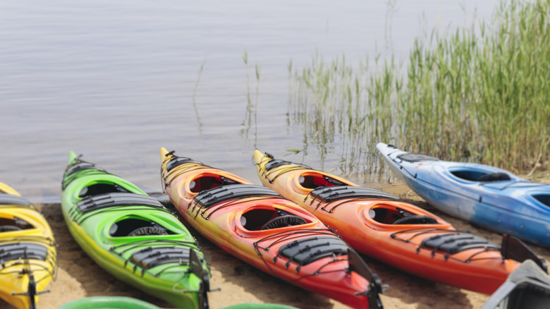 Kayaks lined up along a lake