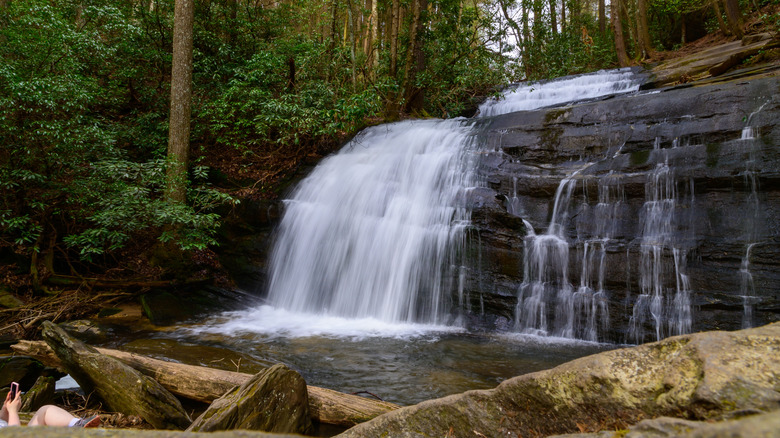 Long Creek Falls spills over rocks on the Appalachian Trail, surrounded by green trees.